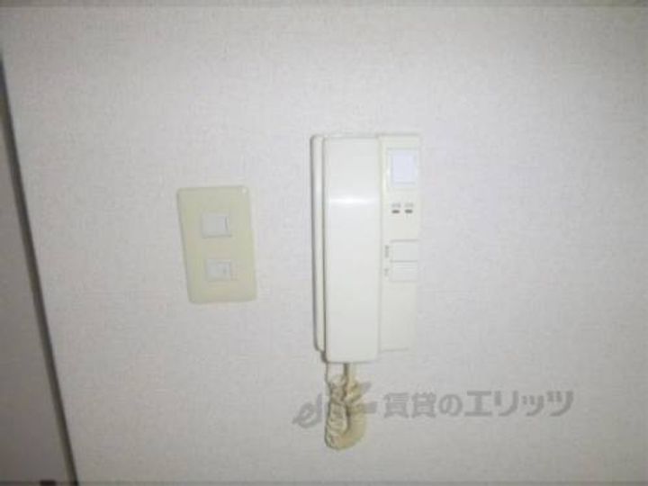 サウスビンのその他画像