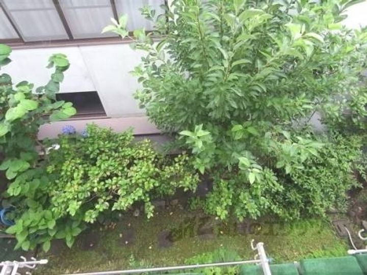 福ノ川ハイツ7のその他画像