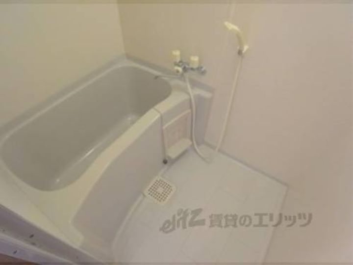 松山サザンクロス302の風呂