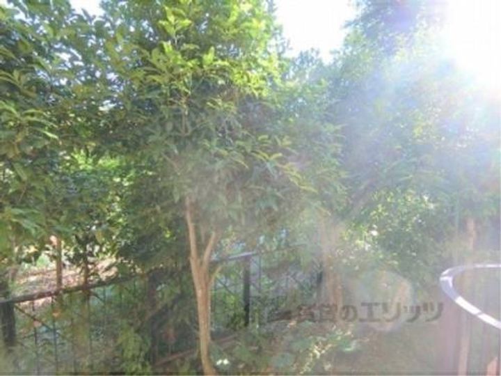 百花荘うえたB-6のその他画像