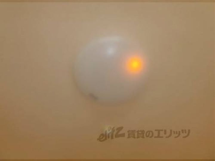 Amare亀乃子303のその他画像