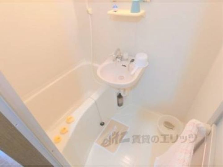 アースマーシーマンションの風呂