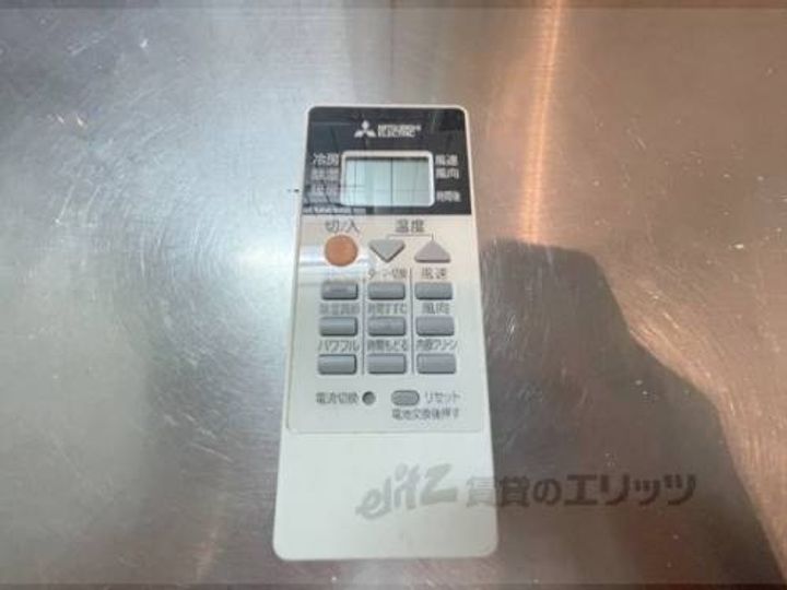ブルーベルのその他画像