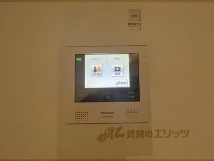 ブルーベルのその他画像