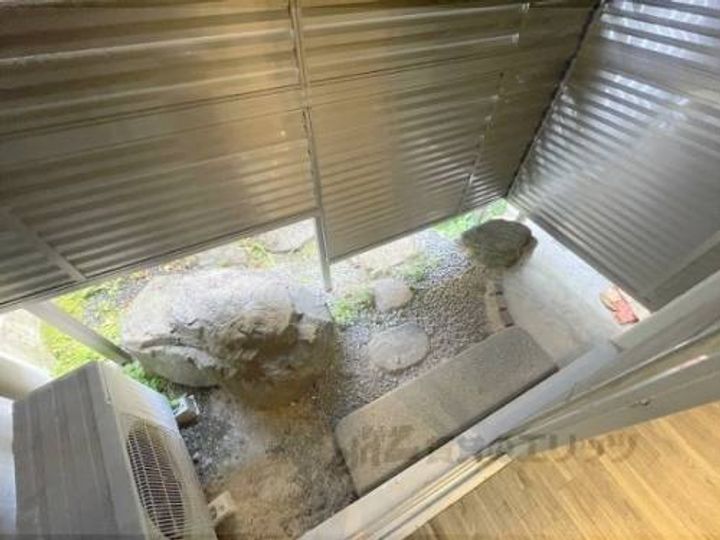 ブルーベルのその他画像