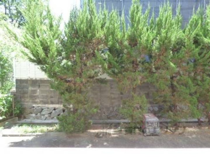 プリムローズ303のその他画像