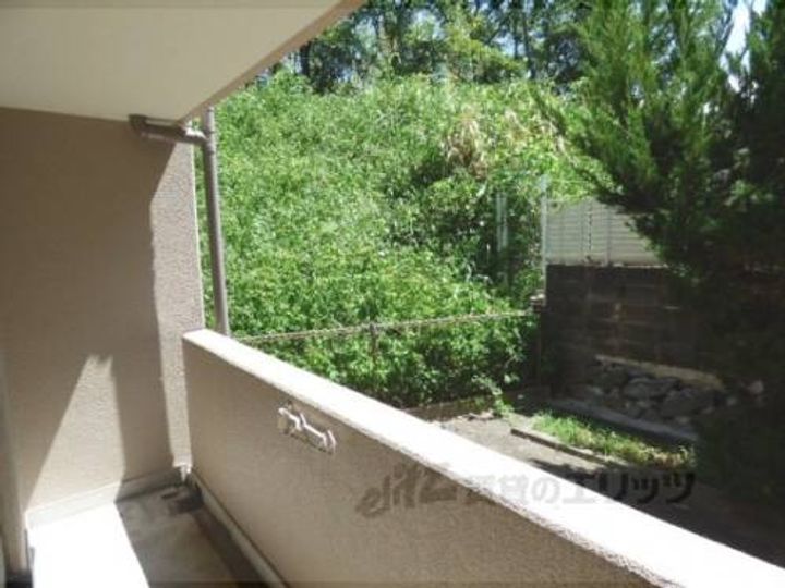 プリムローズ303のその他画像