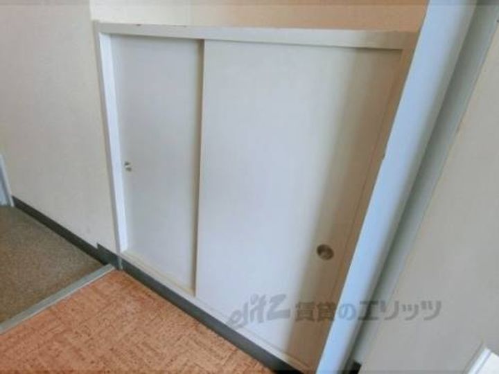 DOL?PHIN ?305のその他画像