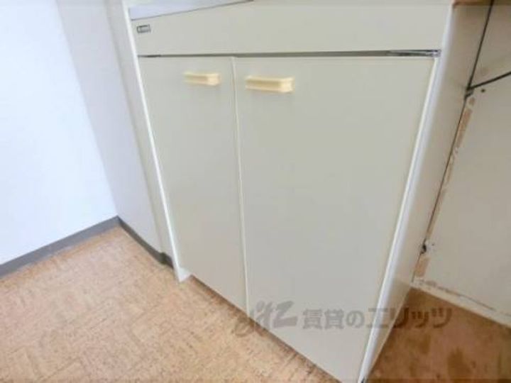 DOL?PHIN ?305のその他画像
