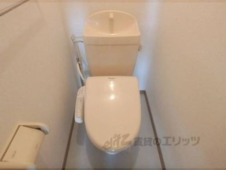 クール・ド・ペーシュのその他画像