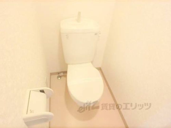 セトルはまおおつのその他画像