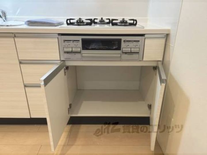 DELPHIのキッチン