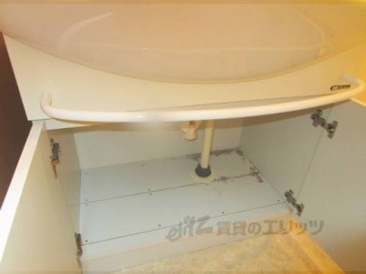 オットピアニのその他画像