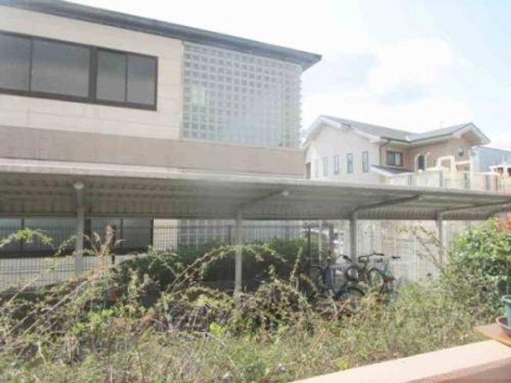 オットピアニのその他画像