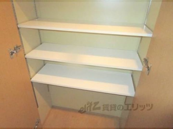 オットピアニのその他画像