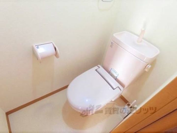 リアン・メルヴェイユ301のその他画像