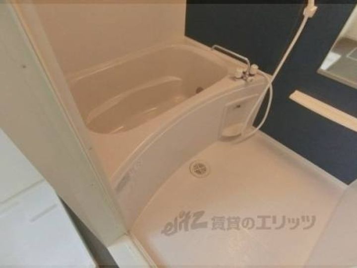 サン フォレストの風呂