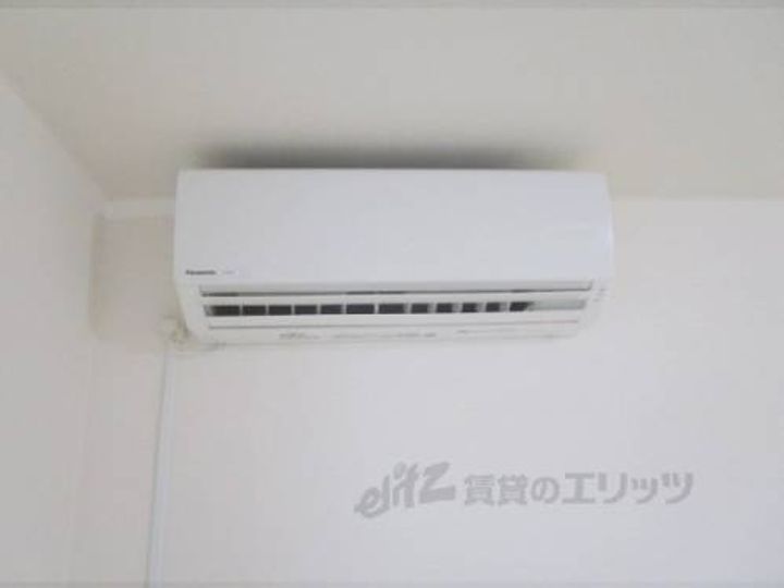 プリマヴェラのその他画像