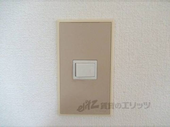 プールブゥのその他画像