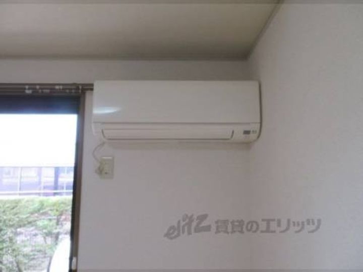 プリシェール姫髪のその他画像