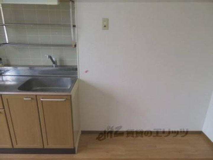 プリシェール姫髪のその他画像