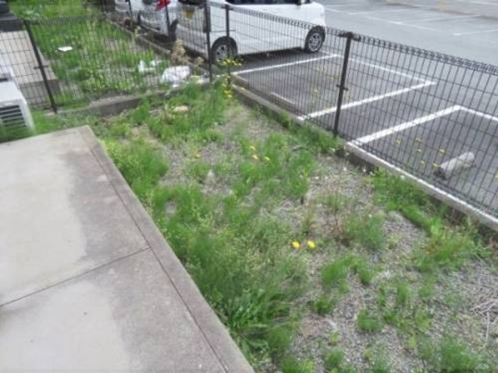 プリシェール姫髪のその他画像