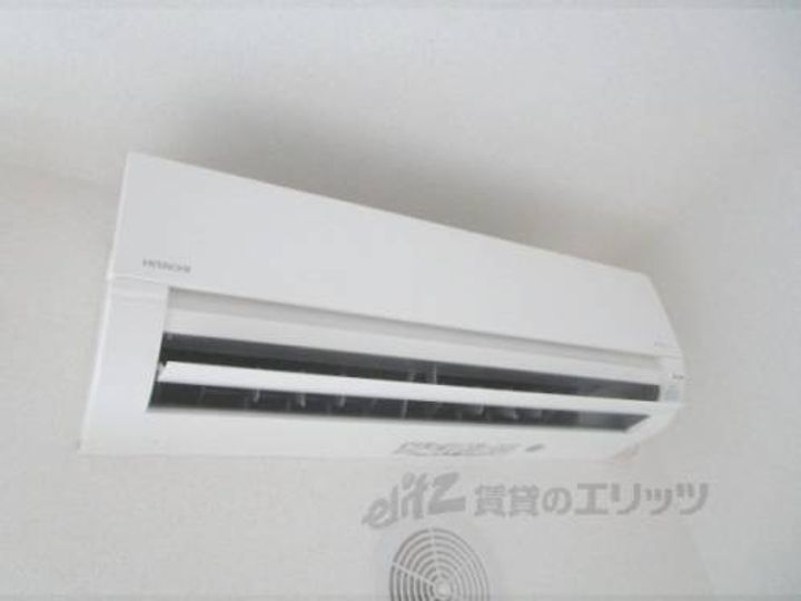 グラストゥリーズ?のその他画像