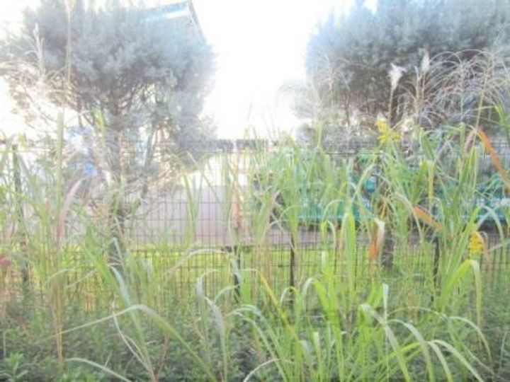 レオパレス光善寺のその他画像