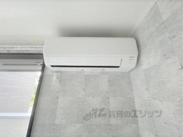 アッシュビーアコダのその他画像