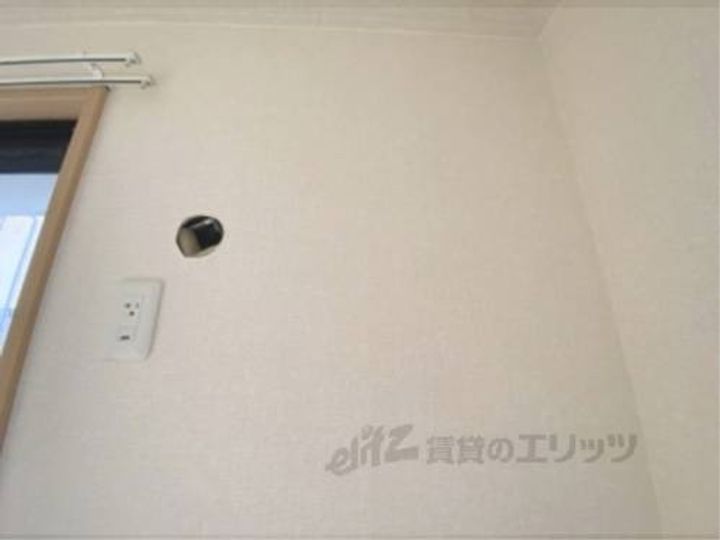 ボナール柳101のその他画像