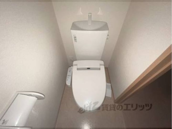 ウィット狐井のその他画像