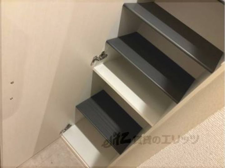 クレイノかもめのその他画像