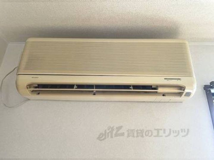 アマデウス311のその他画像