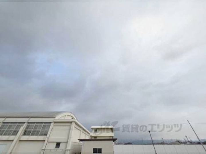 ポライトリーBのその他画像