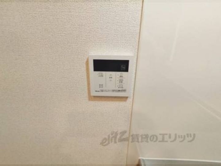 アプリコット?のその他画像