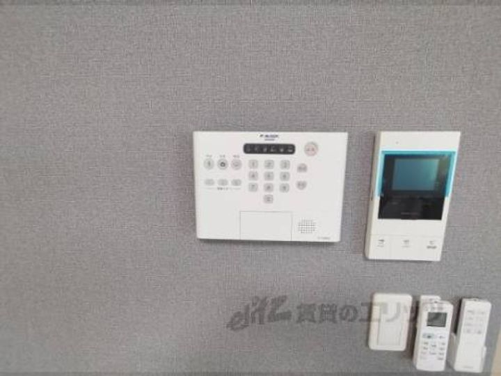 アプリコット?のその他画像