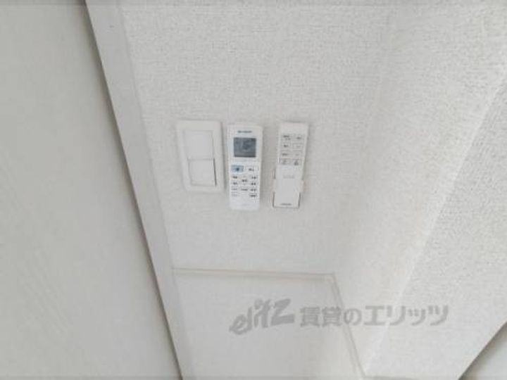 アプリコット?のその他画像
