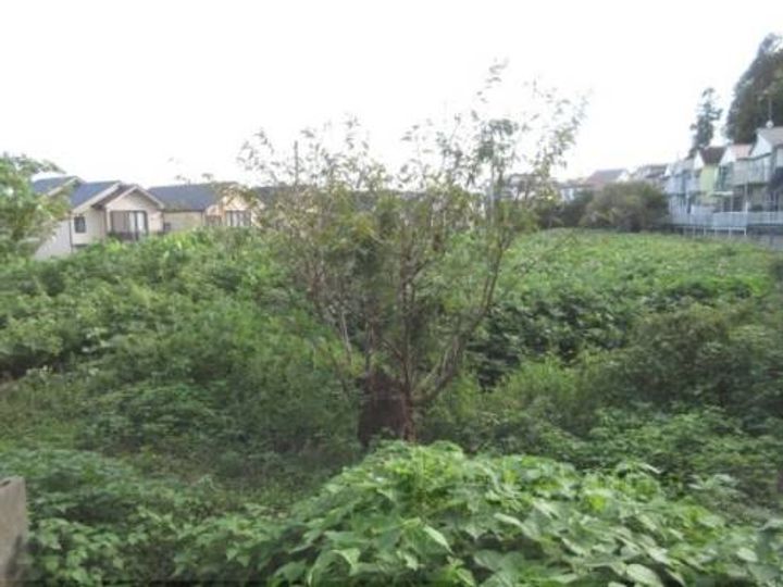 ライフイン中嶋L3号室のその他画像