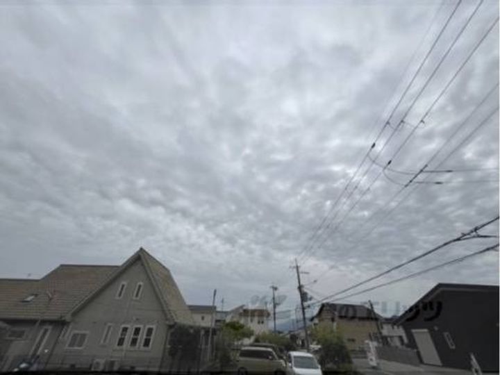ビレット・ルネ205のその他画像