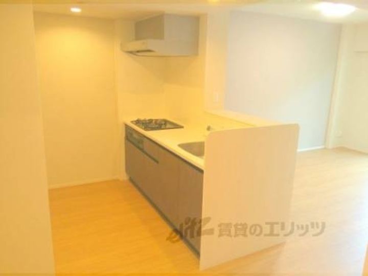 THE RESIDENCE北白川303のキッチン