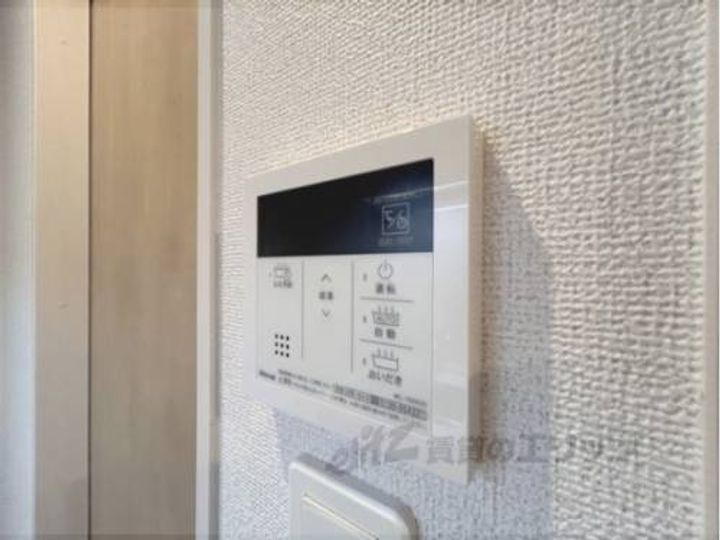 なでしこのその他画像