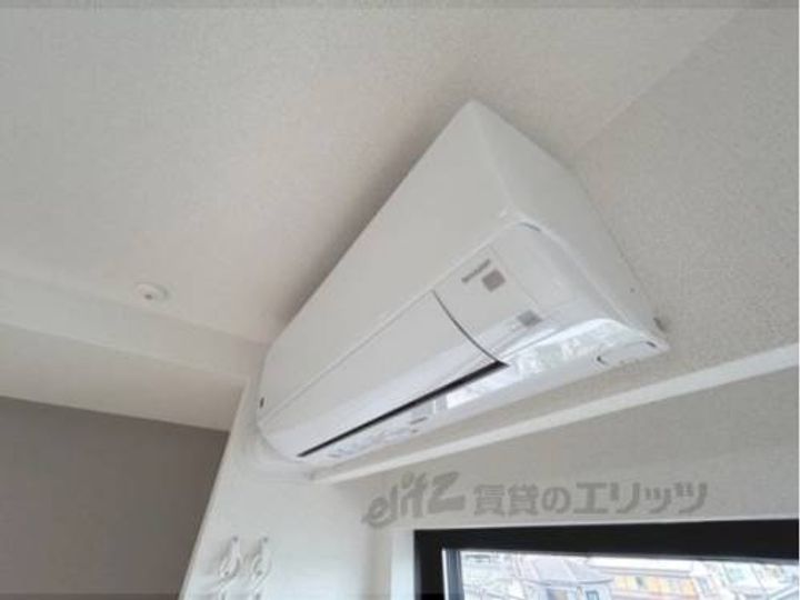 なでしこのその他画像