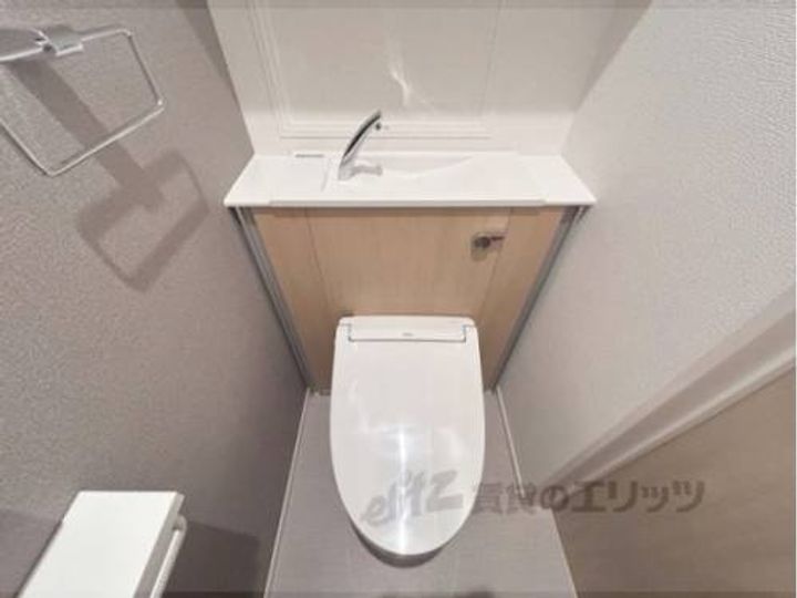 なでしこのその他画像