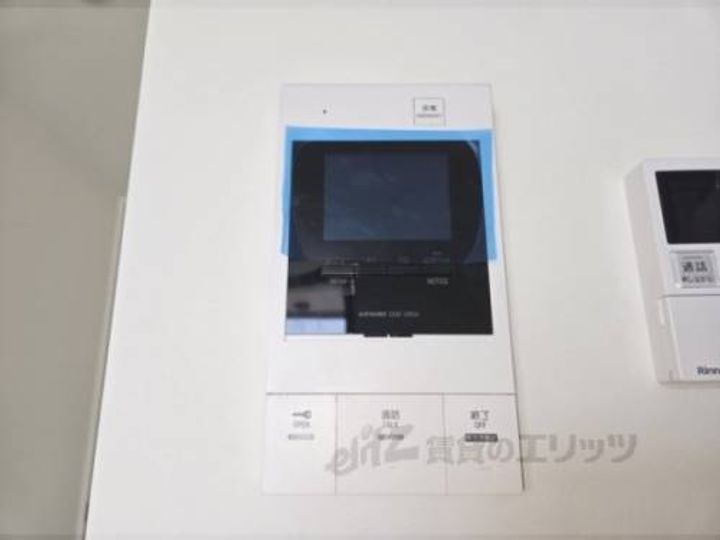 ルピナス?のその他画像