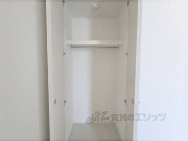 ルピナス?のその他画像