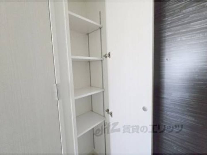 ルピナス?のその他画像