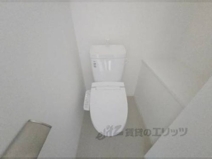 ルピナス?のその他画像