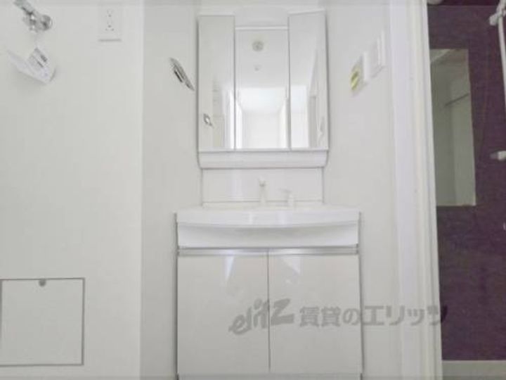 ルピナス?のその他画像