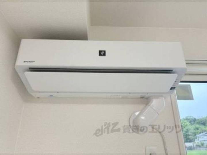 Bela sunoのその他画像