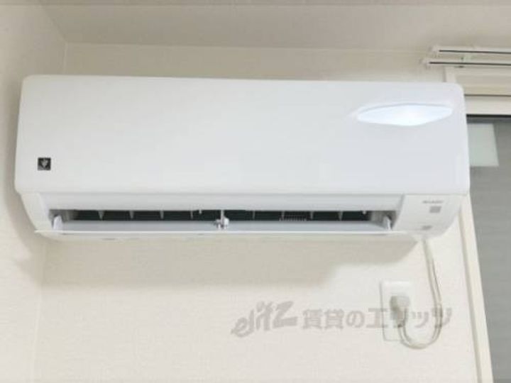 Bela sunoのその他画像